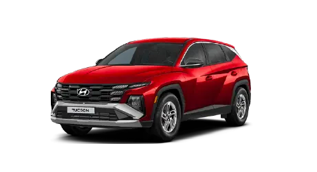 Miniatura Nuevo Tucson FL