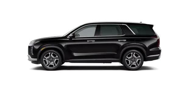 Palisade Negro