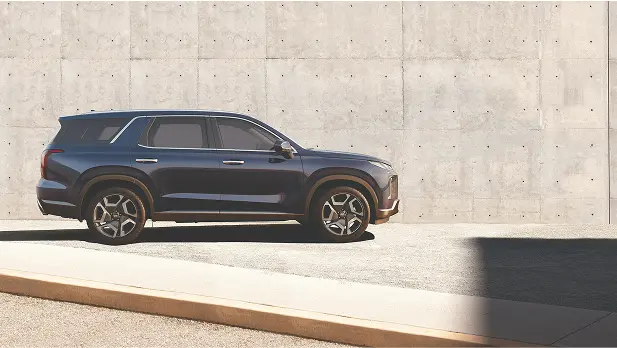Imagen de un SUV Palisade de perfil de color negro.